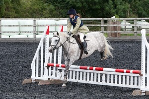 Class 4 - Fences 2'3 to 2'6